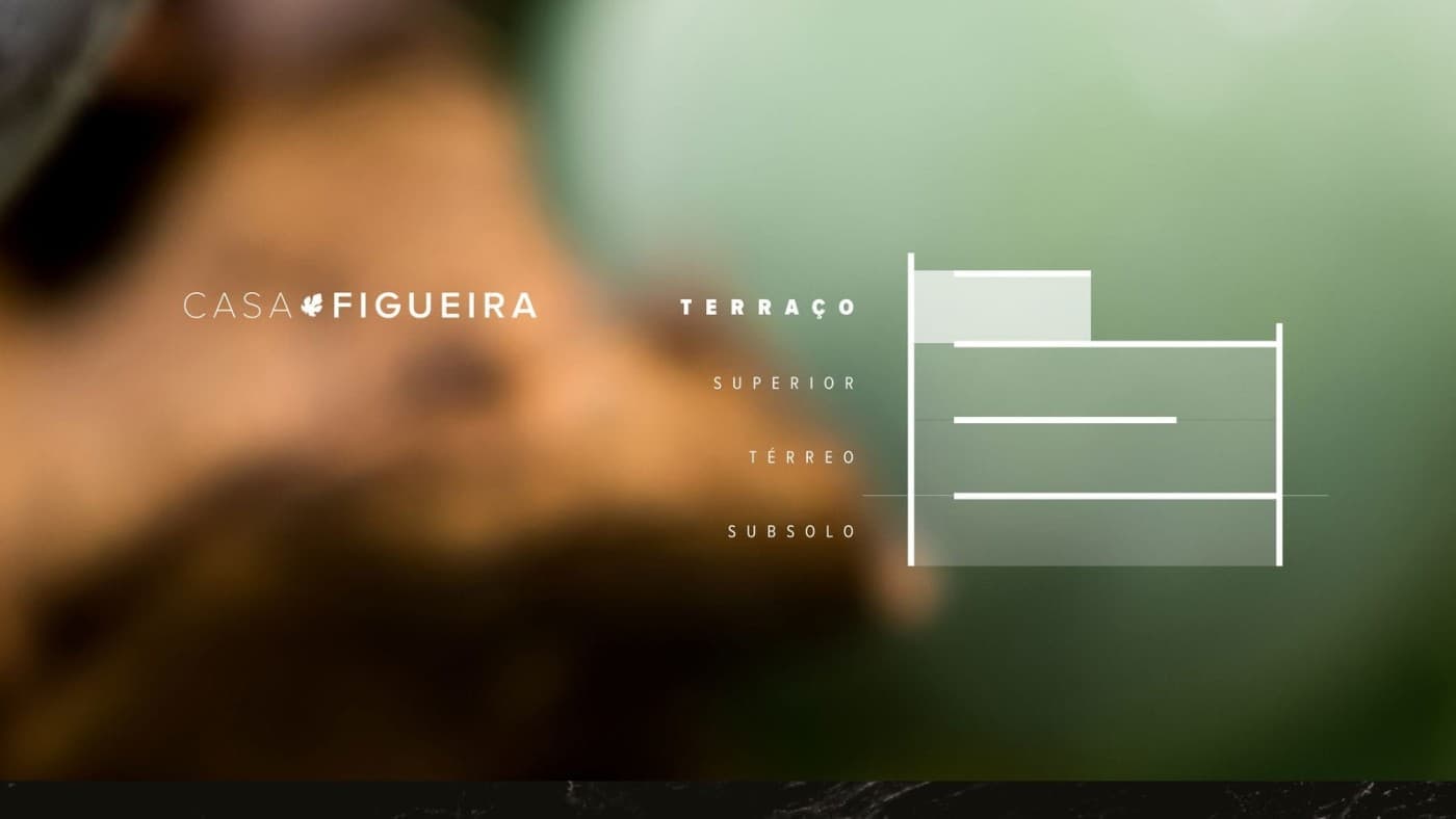 Miniatura 17
